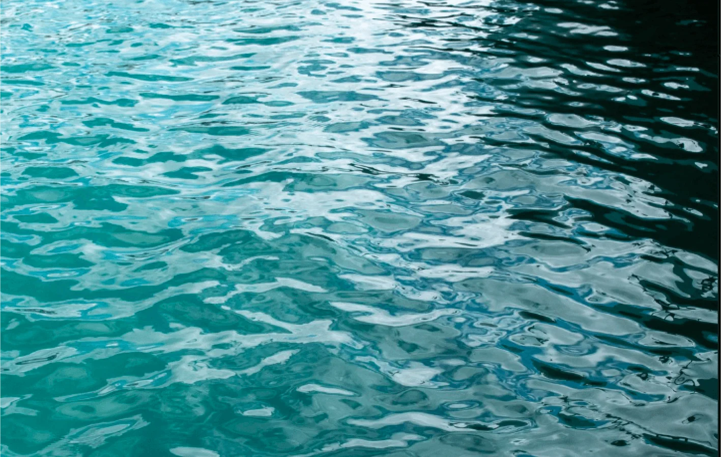 Discover boating viral nation case study solution